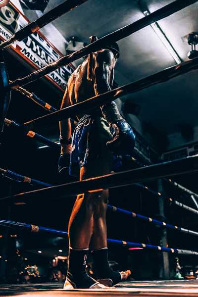 kicker boxer standing